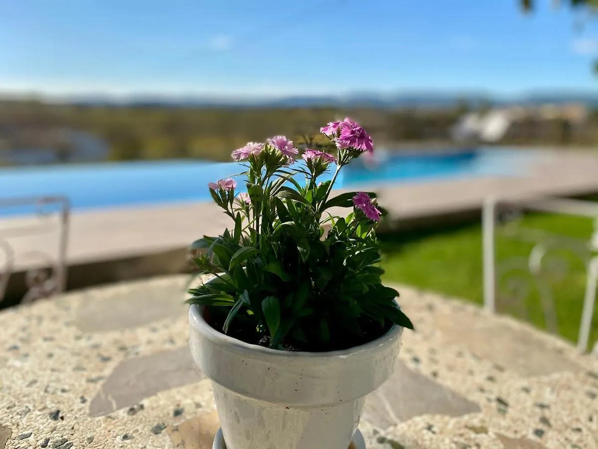 Bed & Breakfast Wine & Cooking Penedes Pla del Panades 3*,  Spain