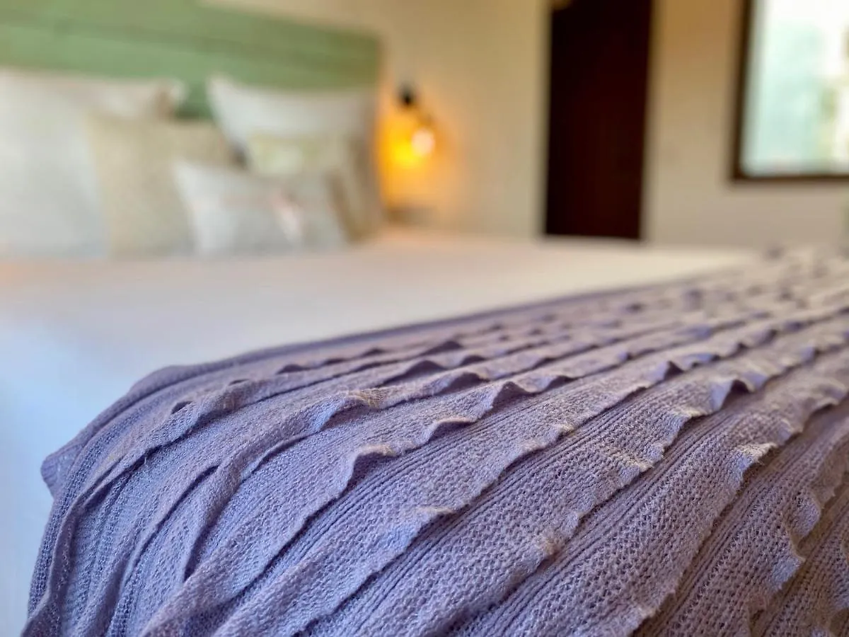 Bed & Breakfast Wine & Cooking Penedes Pla del Panades